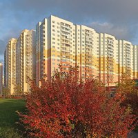 Осень в нашем ЖК. :: Лилия *