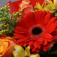 *Осенний букет*.... :: Алёна Савина *Осенний букет*.... :: Алёна Савина