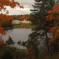 В парке Монрепо :: Магомед . В парке Монрепо :: Магомед .