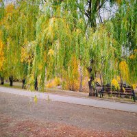 Самара. Парк Воронежские озера :: Надежда 