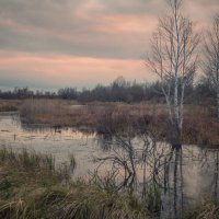 Осенний вечер на Уйбате. :: Николай Привалов