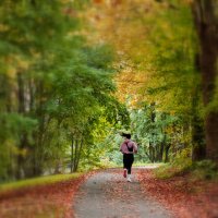 Бегом в осень! :: igor G.
