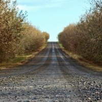 Дорога :: Надежда