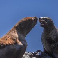 ... :: Жора Житников