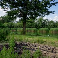 На старом кострище... :: Николай Гирш На старом кострище... :: Николай Гирш