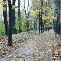 Октябрь :: Наталья Герасимова