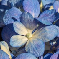 *** :: Виктор Иванович Чернюк