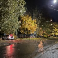 ***дождливый вечер*** :: Olga Oskolkova