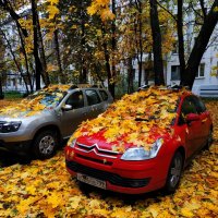 Закрытие велосезона (завтра - операция по удалению пластины из руки) :: Андрей Лукьянов Закрытие велосезона (завтра - операция по удалению пластины из руки) :: Андрей Лукьянов