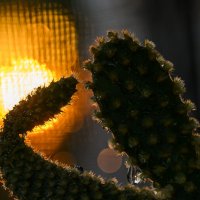 круиз по балкончику :: Осень