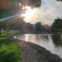 Тёплое южное солнце :: Татьяна Лютаева