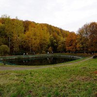 Осень в парке :: Лариса Корж Осень в парке :: Лариса Корж