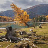 На берегу Аргута :: Sergey38 