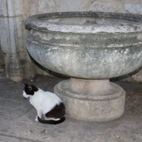 В крепости Лиссабона :: Ольга В крепости Лиссабона :: Ольга