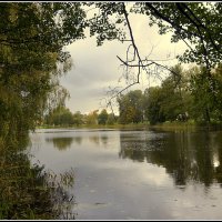 *** :: Aleksandr Gal