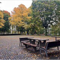 Осень в парке. :: Валерия Комова