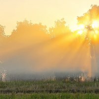 Утро :: Владимир Зыбин
