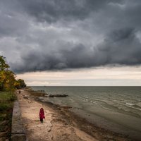 Прогулка :: Ирина 