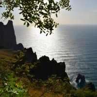 Природа Крыма :: Amazing Cosmea