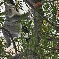 Птицелов :: Аркадий Басович Птицелов :: Аркадий Басович