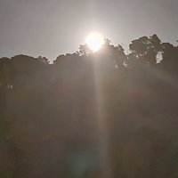 Восход луны :: Аркадий Басович