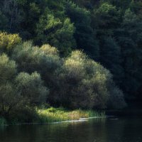 Тихий уголок :: Владимир 