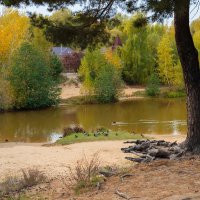 На речке в октябре :: Александр Синдерёв