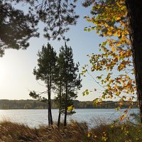 А солнце осенью совсем другое- :: Галина Кан