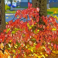 ОСЕНЬ :: Юрий Владимирович 34 ОСЕНЬ :: Юрий Владимирович 34