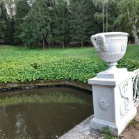 Павловск, Павловский парк :: Галина Минчук Павловск, Павловский парк :: Галина Минчук