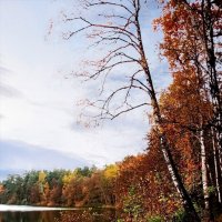 Золотая осень :: Тамара Вебер