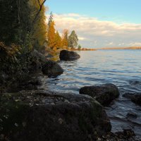 В парке Монрепо :: Магомед .