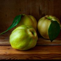 Айва :: Игорь 