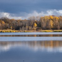 Почти по Пушкину - Глядь, поверх текущих вод чайка белая плывет :: Galina Почти по Пушкину - Глядь, поверх текущих вод чайка белая плывет :: Galina