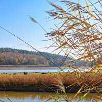 Осень :: **** vedin