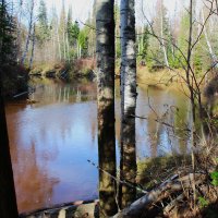 Пыжина :: Сергей Никифоров