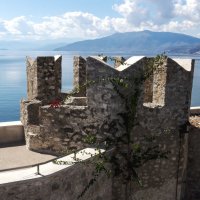 ** :: Александр Липовецкий