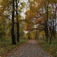 Осенний парк :: Олег Дорошенко