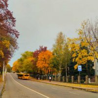 Когда автобус в теме) :: Галина Бобкина