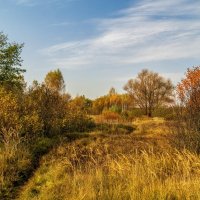 Осеннее утро 4 :: Андрей Дворников