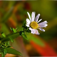 *** :: Олег Алексеев *** :: Олег Алексеев