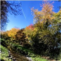 Поит осень ручей за околицей Проливным серо-хмурым дождём. :: "The Natural World" Александер