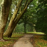 Утро октября :: Юрий. Шмаков