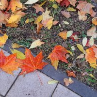 Осень :: Наталья Герасимова Осень :: Наталья Герасимова