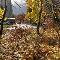 ***осень...*** :: Olga Oskolkova