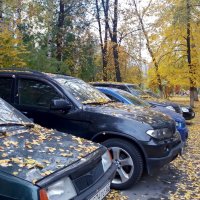 Осень в городе :: Galina Solovova