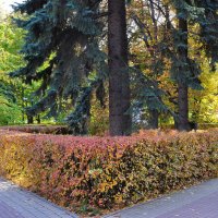 "Очей очарованье!" :: Татьяна Машошина