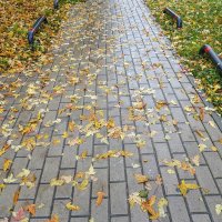Осенние тротуары :: Валерий Иванович