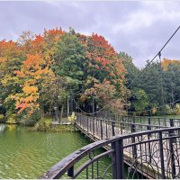 Осень у пруда. :: Валерия Комова