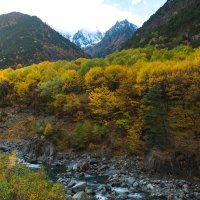 Осенние зарисовки :: Батик Табуев Осенние зарисовки :: Батик Табуев